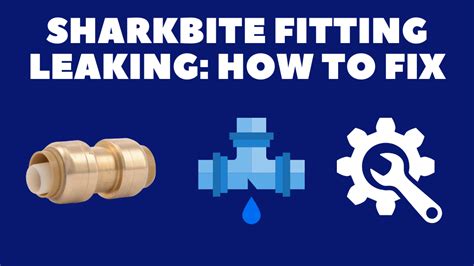 shark bite leaking|Sharkbite Fitting Leaking: How to Fix in minutes